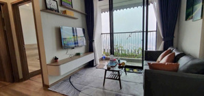 cần bán chung cư sân vườn ở oasis ecopark