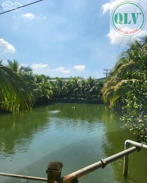 CHO THUÊ NHÀ XƯỞNG – TÂN AN, VĨNH CỬU, ĐỒNG NAI – 4.500m²