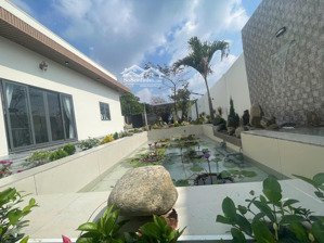 bán nhà vườn gần chợ gò đen vào ở ngay 3,7 tỷ, shr 