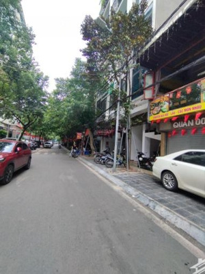 bán nhà phân lô, ô tô tránh, nguyễn chánh, cầu giấy 115m 6tầng mt 5m 33.8 tỷ