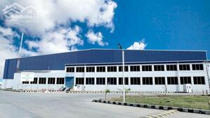 Cho Thuê 10.000m2 Kho Xưởng Thạnh Hoá, Long An