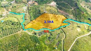 Rẫy giá rẻ tại trung tâm phường Đông Gia Nghĩa - Gần bệnh viện - View suối