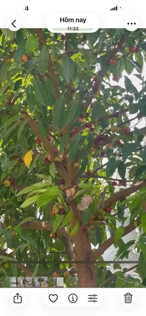 nhà mới full nội thất gần đh marketing - quận 7 .