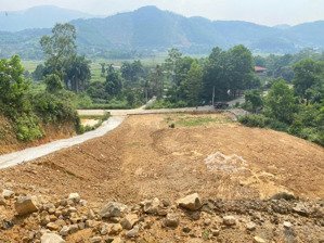 chính chủ cần bán 5518,5m2 đất tại đồng chằm có 250m2 thổ, vị trí đẹp, view thoáng, giá đầu tư