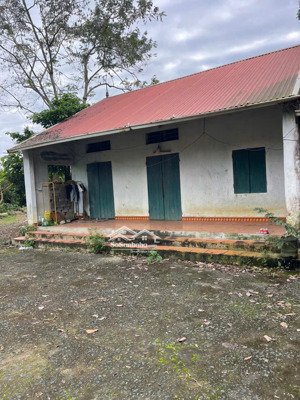 chính chủ do k có nhu cầu sử dụng cần bán đi hơn 2000m2 đất đồng bèn, đông xuân, quốc oai