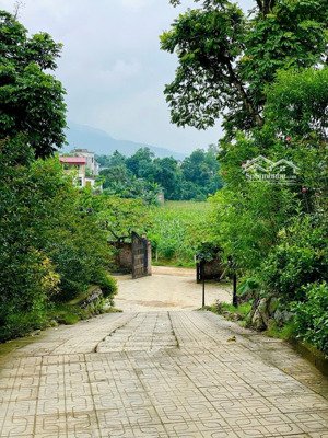 cần bán lô đất 5000m2 sẵn khuôn viên nghỉ dưỡng vận hành ngay tại phú cát, hà nội