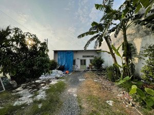 bán lô đất tặng nhà tạo hiện hữu đường tân xuân 5, shr, 5m x 30m, 4.3 tỷ