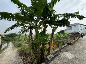 chính chủ cần bán 04 lô đất tại quế võ bắc ninh