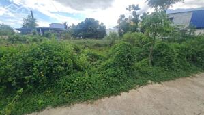 bán đất thôr cư gần biển cam bình 12x40, phan chu trinh, tân phước, lagi