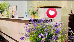 biệt thự mặt phố tây hồ - 315m2, 1 mặt view hồ tây, 1 mặt view sông hồng, hợp xây toà vp, khách sạn