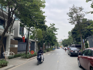 giá sốc: biệt thự khu c 126m2 view vườn hoa ciputra giá chỉ 38 tỷ. hàng mới ra, giá đầu tư đẹp.