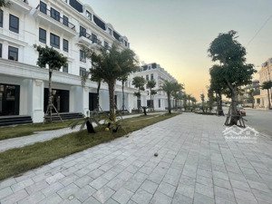 bán liền kề 95m² dãy l1 đường 17,5m louis city hoàng mai - giá đầu tư siêu tốt