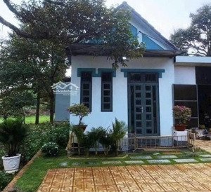 chủ cần bán gấp 2 sào sầu riêng, có sẵn nhà, 800tr, shr, ql13, ngay kcn becamex.