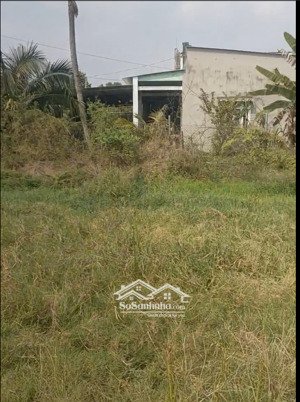 đất nền xây nhà ở ngay-gần full thổ cư - bà ký, long phước, long thành 2 sổ gần nhau