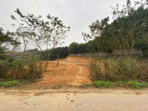 duy nhất lô đất mặt đường tl413 giá chạm đáy cho các nđt phân lô-xây nhà xưởng-kinh doanh buôn bán