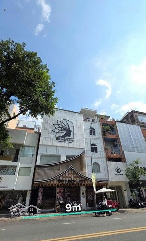 khan hiếm! mặt tiền võ văn tần, quận 3 - dt: 9x15m - 5 tầng - hđt: 250tr/th - giá bán: 93,4 tỷ tl