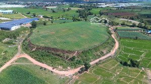 ngọn đồi mai rùa, kho báu tròn độc đáo hiếm có, view đẹp 360. dt 25000m2. giá 55 tỷ