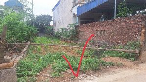 chính chủ cần bán gấp 100m2 tại phú cát- hoà lạc 25tr/m2