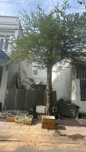 bán đất kdc p.tân bình - dĩ an - gần ngã tư chiêu liêu | thổ cư 100% |đường 12m |3,35 tỷ |xây tự do