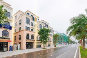 bán shophouse 170m2 biển xanh, mặt đường chính 35m đẹp nhất tại vinhomes ocean park 2,