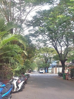 chủ gấp bán trong tuần lô đất đẹp khu phân lô sau lưng bệnh viện lê văn thịnh,dân cư đông đúc