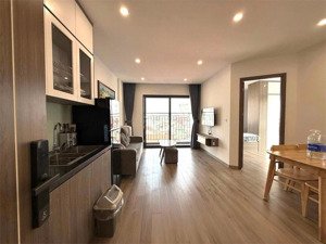 free tiền nhà tháng đầu cho khách đầu tiên chốt căn hộ 1pn ngay sân bay tân sơn nhất, nhà ga t3