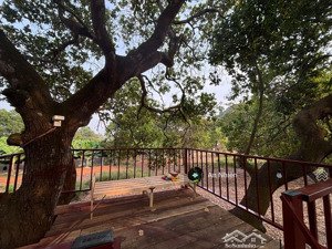 khai xuân đón lộc đầu năm săn ngay mảnh vườn view hồ trị an giá chỉ 995tr