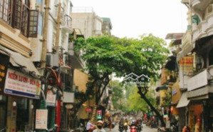 tết có nhà đẹp ở luôn hàng hiếm lõi trung tâm mặt phố quang trung trần quốc toản nguyễn du