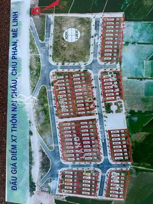 100m đấu giá lại châu chu phan mê linh
