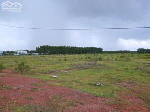 Bán đất tại Khu KT Cửa Khẩu Hoa Lư, Bình Phước