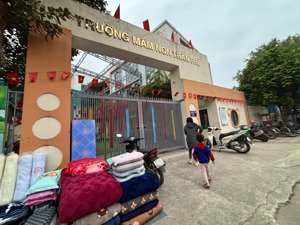 đất thuý lĩnh lô góc 3 mặt thoáng 875m2 - 29 tỷ - ven đê - ô tô tránh