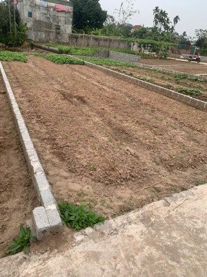 bán đất chương dương dương cho nhà đầu tư hàng f0, 80m2, ô tô đỗ cửa