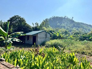 hàng xóm xanh villa - lô đất 782m có 550m thổ cư - gần đhqg - ga metro chỉ 500m