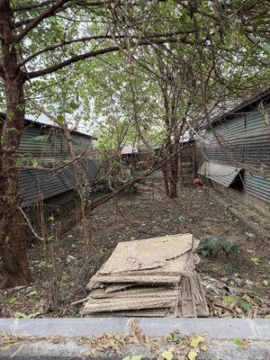 bán đất thổ cư nở hậu 83m xã thiên lộc (kim nỗ- đông anh) hà nội - giá 6,1 tỷ,ô tô vào tận cửa