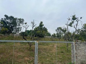 bán đất hoành bồ -quảng ninh giá rẻ