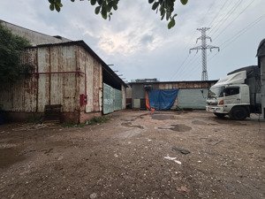 cho thuê 1000mv đất, hđ 5 năm- chỉ 55tr