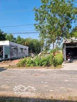 về quê với gia đình, ông hải gửi bán giúp lô đất vuông vức 208m2 giá mềm hơn thị trường, sổ riêng