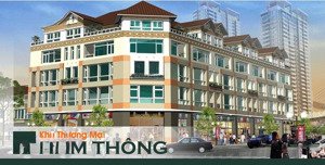 bán bt giá cực chất tại nam thông 1 - phú mỹ hưng, 78 tỷ, 198m2 