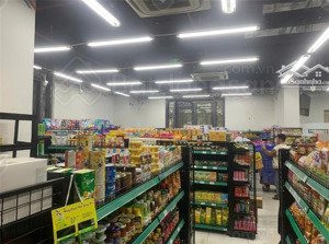 chính chủ cho thuê căn lô góc 140m, mặt tiền 20m, phù hợp mở siêu thị , spa... giá 55tr/tháng phục