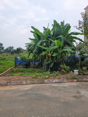 bán đất hẻm 200 đ. bưng ông thoàn, 5,5 tỷ, 86,6m2, view đẹp, q9, hcm