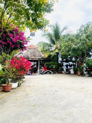 nhà giả bệt thự ngang hơn 10m- hẻm xe hơi kdc bộ công an nguyễn văn quỳ p. phú thuận, q.7 (cũ)