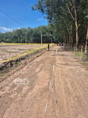 bán đất dt 300m2 tại đt 756, cách chợ minh lập 4km, chơn thành, bình phước, 350 triệu. có bank vay