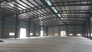Cho Thuê Kho Xưởng 10.880m² Trong Kcn Long Hậu, Cần Giuộc, Long An