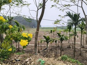 mảnh đất 14,4m mặt đường tl414 gần điểm bus, view núi view sông cực thoáng, giao thông thuận tiện