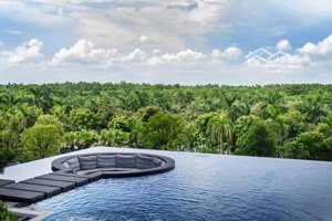 mezza landmark view hồ thiên nga vườn nhật , nguyên bản tìm chủ mới