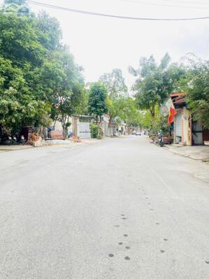 Bán đất mặt đường Phạm Hồng Thái, Liên Bảo, Vĩnh yên, Vĩnh Phúc. Giá 7.3 tỷ