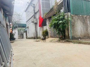 110m full thổ ô tô đi xung quanh đất
