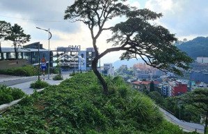 cần bán lô đất du lịch ngay trung tâm tam đảo, tầm nhìn thoáng, sẵn sổ hồng sang tên lh 