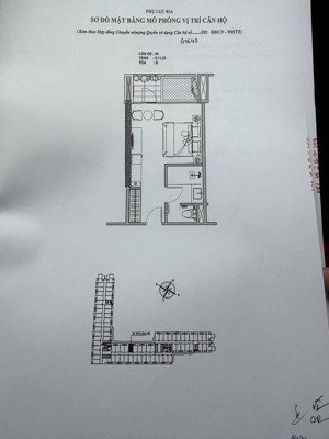 bán condotel wyndham thanh thủy, 900 triệu, 32m2, 1pn, 1wc, bảo yên, thanh thủy, phú thọ