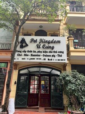 Bán nhà phân lô Nguyễn Cảnh Dị, Hoàng Mai, Ô tô tránh, vỉa hè KD, 54m2, 21.5 tỷ